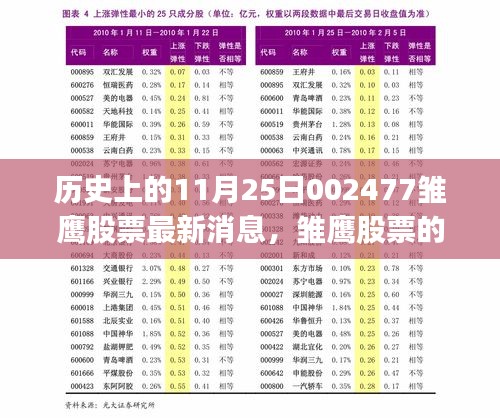 雏鹰股票的历史时刻，揭秘11月25日最新消息与深度解读背后的故事