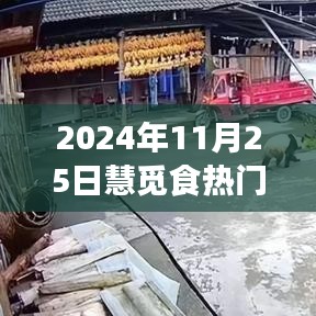 2024年11月25日慧觅食热门美食与趋势展望