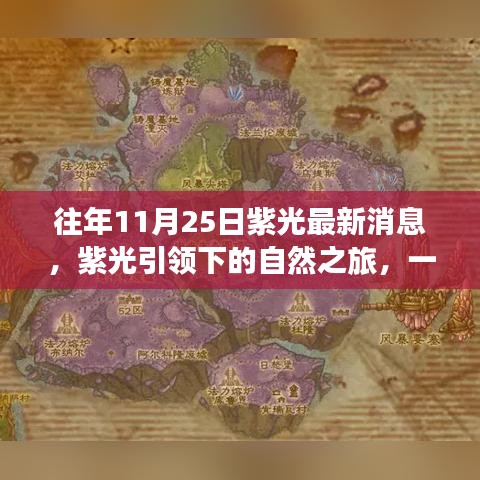 紫光引领的自然之旅，寻找内心平静的奇妙探险之旅