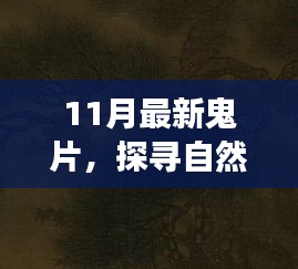 11月最新鬼片探寻秘境之旅，唤醒内心的宁静与微笑