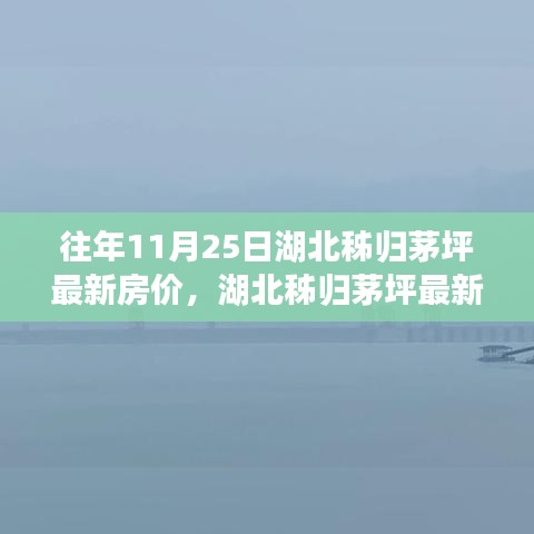 湖北秭归茅坪最新房价测评报告，深度剖析市场态势（往年11月25日）