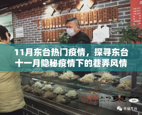 探寻东台十一月隐秘疫情下的巷弄风情，特色小店的独特魅力与疫情下的故事