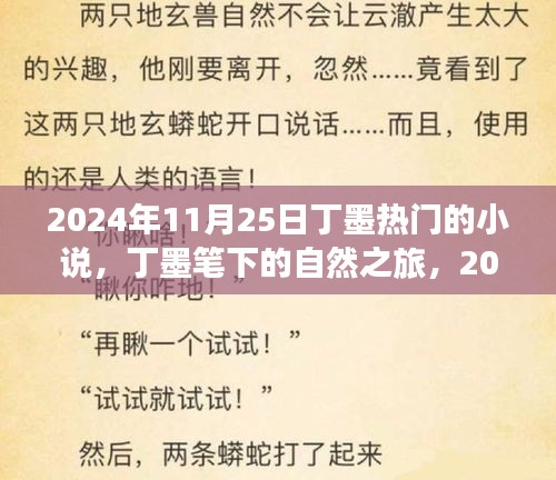 丁墨笔下的自然之旅，2024年11月25日的探险之旅