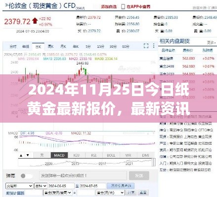 2024年11月25日纸黄金市场深度解析，最新报价、资讯与投资趋势