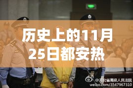 历史上的11月25日都安热门杀人案深度解析，三大要点揭秘案件真相