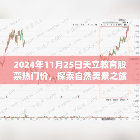 2024年11月25日天立教育股票热门价，探索自然美景之旅，天立教育股票与心灵的宁静热谈——2024年11月25日的奇妙旅程