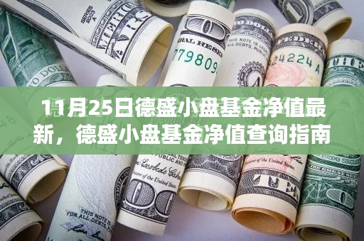 德盛小盘基金净值最新数据（11月25日），查询指南适用于初学者与进阶用户