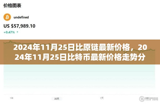 2024年11月25日比特币最新价格分析与走势预测