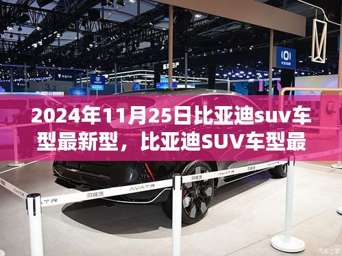 比亚迪SUV车型最新型深度评测与介绍，2024年11月25日最新发布