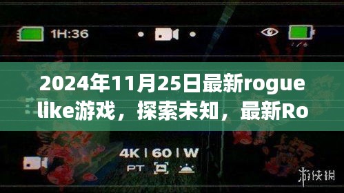 最新Roguelike游戏未知探索之旅，引领潮流的无尽冒险启程于2024年11月25日