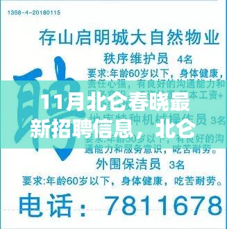 北仑春晓11月最新招聘信息大解析，职业发展三大要点解读