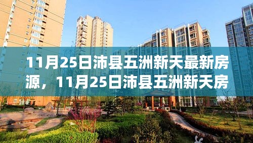 11月25日沛县五洲新天房源速递与深度解析