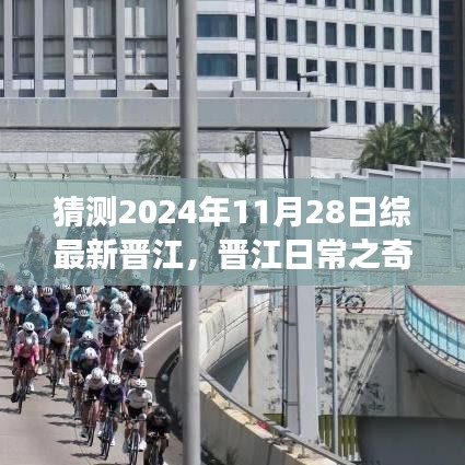 2024年11月28日晋江日常奇妙时光，温馨友谊之旅