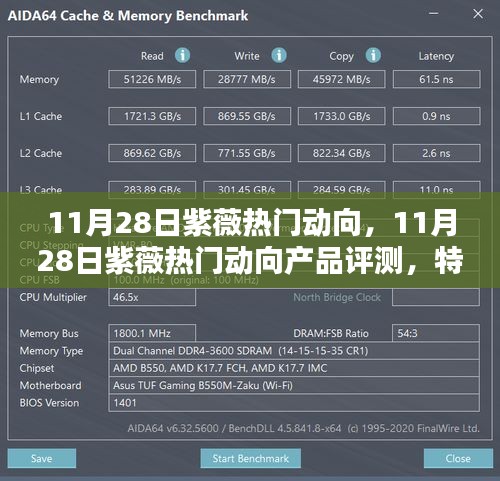 11月28日紫薇热门动向产品评测，特性、体验、对比及用户深度分析