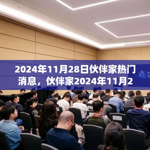 伙伴家独家揭秘，2024年11月28日热门消息大揭秘