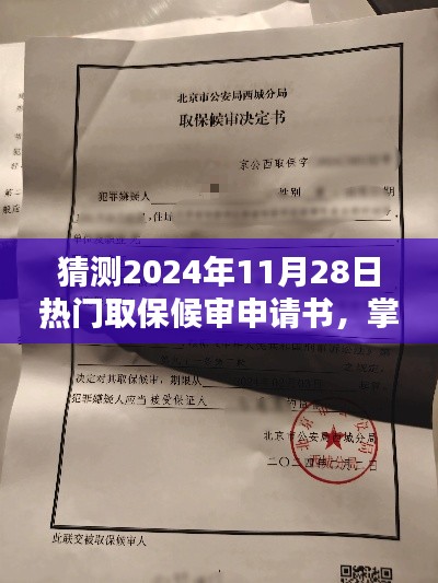 猜测2024年11月28日热门取保候审申请书，掌握未来趋势，2024年热门取保候审申请书预测与深度解析