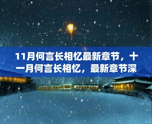 深度解析与背景探讨，最新章节十一月何言长相忆揭秘