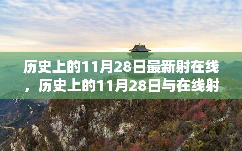 历史上的11月28日最新射在线，历史上的11月28日与在线射艺的发展，一种观点的阐述