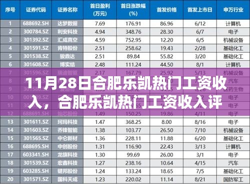 合肥乐凯热门工资收入详解，特性、体验、竞品对比及目标用户分析评测报告