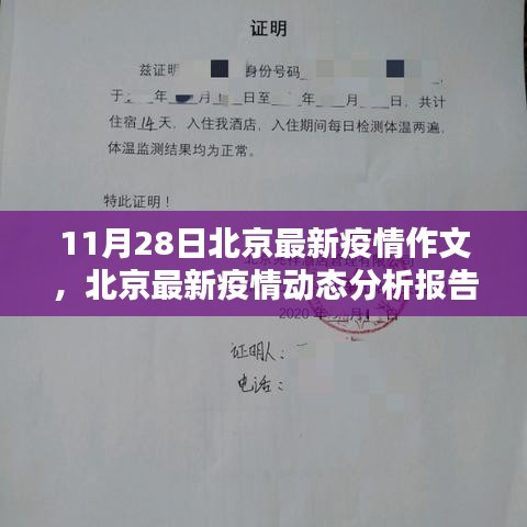 北京最新疫情深度报告，动态分析、评测与介绍（以11月28日为例）