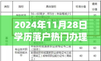 探秘学历落户宝藏，2024年11月28日热门办理之旅揭秘！