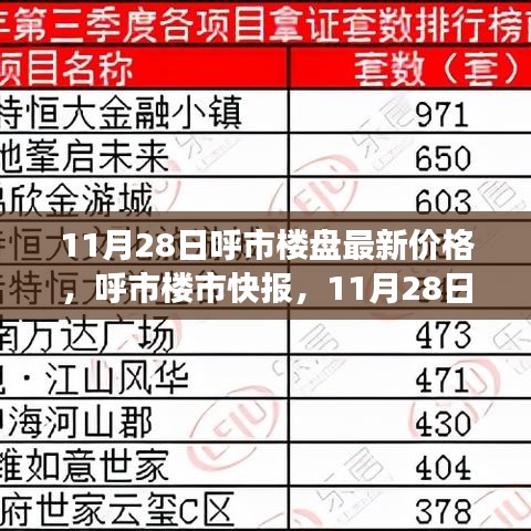 呼市楼盘最新价格快报，11月28日楼市概览与走势分析