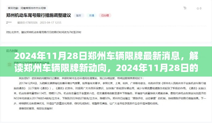 2024年郑州车辆限牌最新动态深度观察，解读新动向与影响