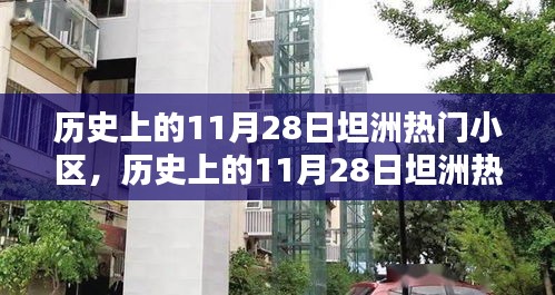 历史上的11月28日坦洲热门小区深度解析与介绍