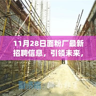 11月28日面粉厂最新招聘信息，引领未来，科技重塑生活——面粉厂最新智能生产线招聘信息与高科技产品体验之旅