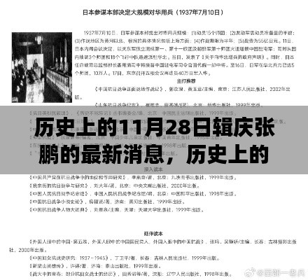 历史上的11月28日张鹏最新消息及其影响解析