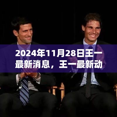 王一最新动态揭秘，星光闪耀的2024年11月28日回顾与展望