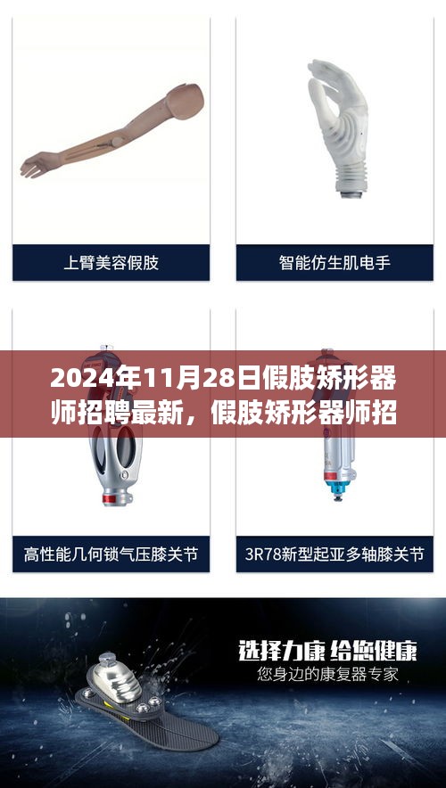 2024年假肢矫形器师招聘最新指南，从入门到精通，适合初学者与进阶用户