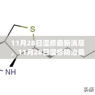 11月28日湿疹防治最新动态指南，全面管理湿疹，掌握应对技能