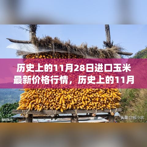 历史上的11月28日进口玉米价格行情深度解析，最新行情分析与三大要点解读