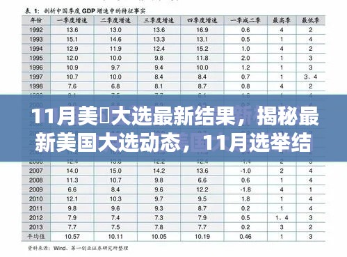 美国大选最新动态，深度解析11月选举结果揭秘大选动态内幕