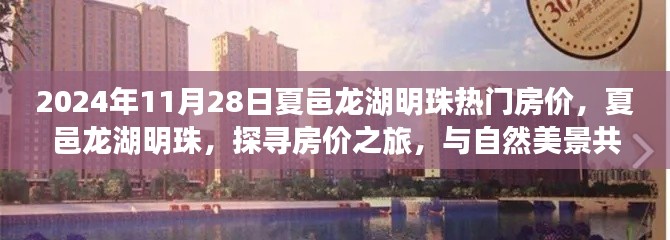 夏邑龙湖明珠房价探寻之旅，与自然美景共舞的心灵之旅（2024年11月房价更新）