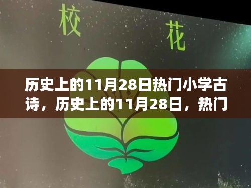 历史上的11月28日，小学古诗的魅力与争议之旅