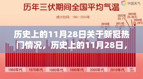 深度解析，历史上的11月28日新冠热门情况回顾与观点阐述