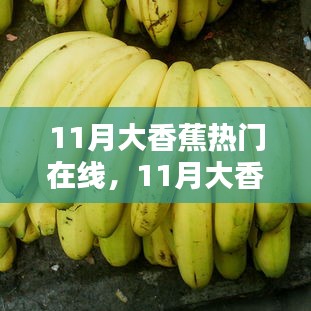 11月大香蕉热门在线，11月大香蕉热门在线，全面评测与介绍