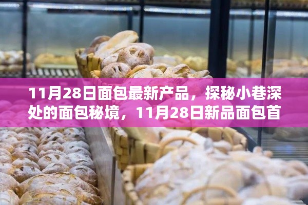 探秘小巷深处的面包秘境，11月28日新品面包首发揭秘