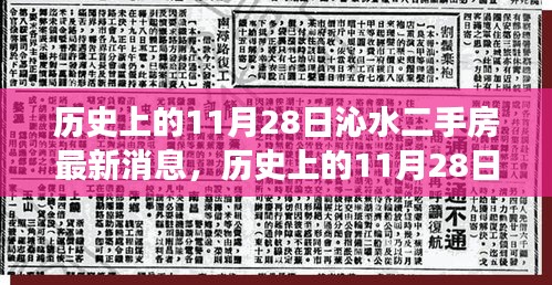 历史上的11月28日沁水二手房最新消息，历史上的11月28日沁水二手房市场动态——最新消息深度解析