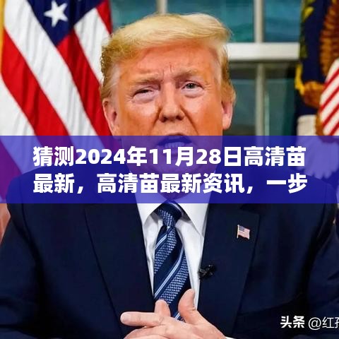 2024年11月28日高清苗最新资讯预测与获取指南