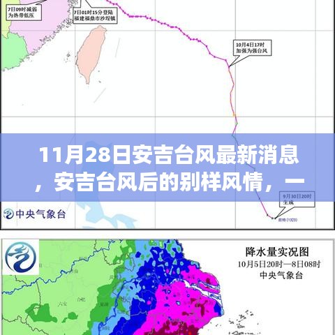 安吉台风后绿色探险之旅，寻找内心平静的别样风情之旅