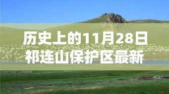 探寻祁连山保护区新政策，揭秘历史背后的宝藏小店与最新动态（11月28日）