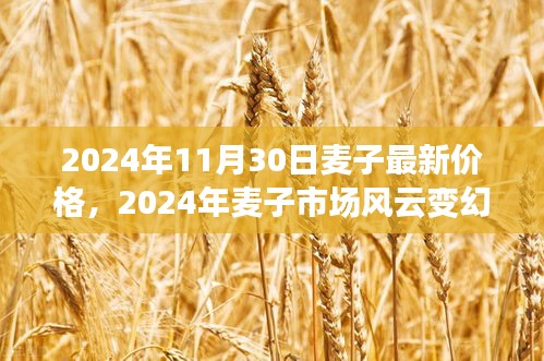 2024年麦子市场风云变幻，最新价格走势与时代影响分析