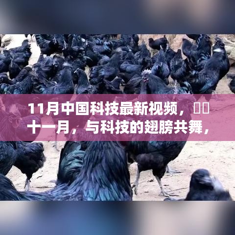 ​十一月中国科技前沿视频，探寻自然美景中的内心宁静，共舞科技的翅膀