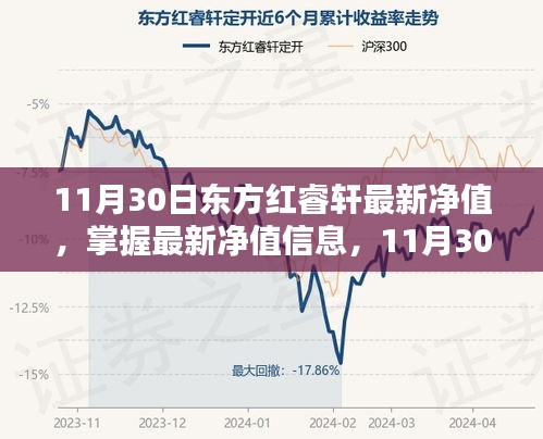 11月30日东方红睿轩最新净值查询全攻略，初学者与进阶用户适用的净值信息及操作指南