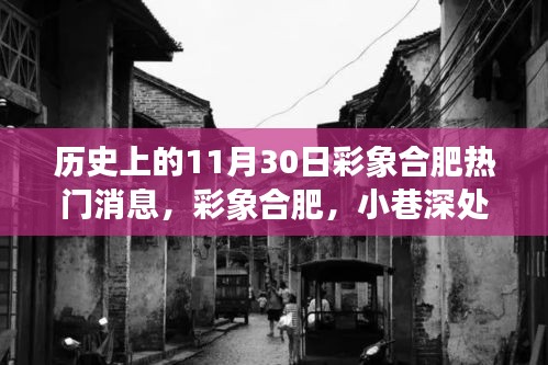 彩象合肥，小巷风味与历史的交汇点——11月30日瞬间回顾