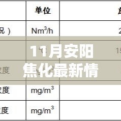 11月安阳焦化奇遇记，温情日常与最新动态