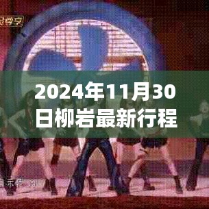 柳岩2024年11月30日行程揭秘，文化与娱乐的盛宴